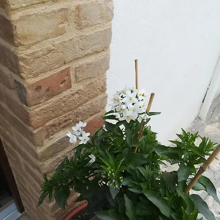 בית נופש Dimora Chiesa Diruta Grottole